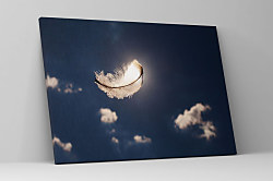 Obraz Letiace pierko 1356